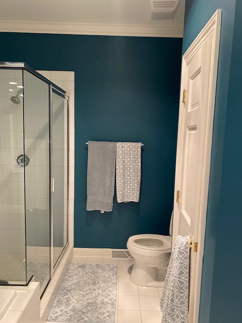 Transitional Primary Bathroom Remodel in Elm Grove Before