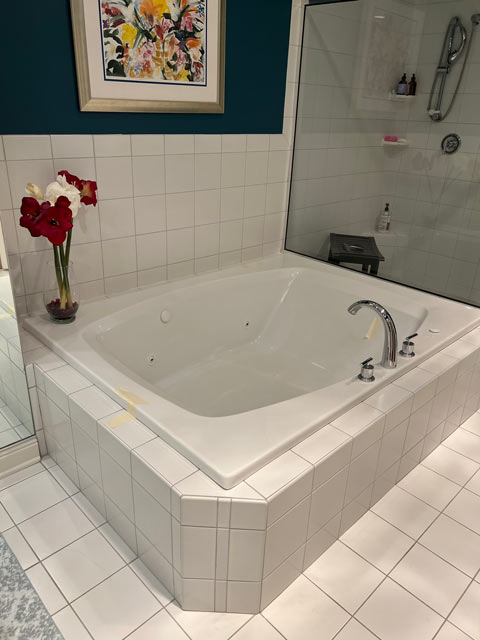 Transitional Primary Bathroom Remodel in Elm Grove Before